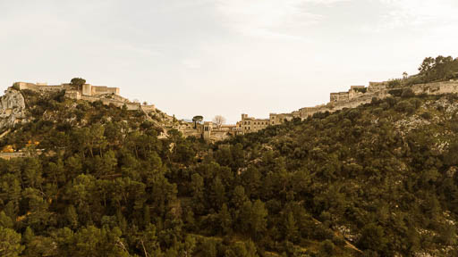 Photography portfolioPic-004