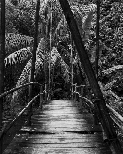 Photography portfolioPic-121