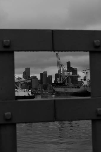 Photography portfolioPic-031