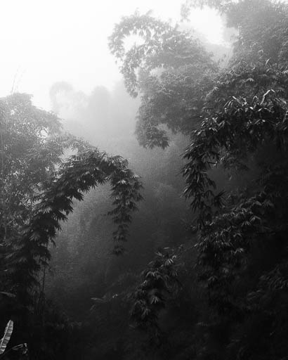 Photography portfolioPic-107