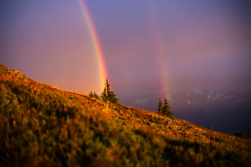 Photography portfolioPic-160